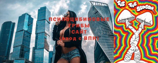 стафф Верхний Тагил